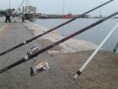 /album/scubadieropatra-/a2016-01-10-08-59-34-jpg/